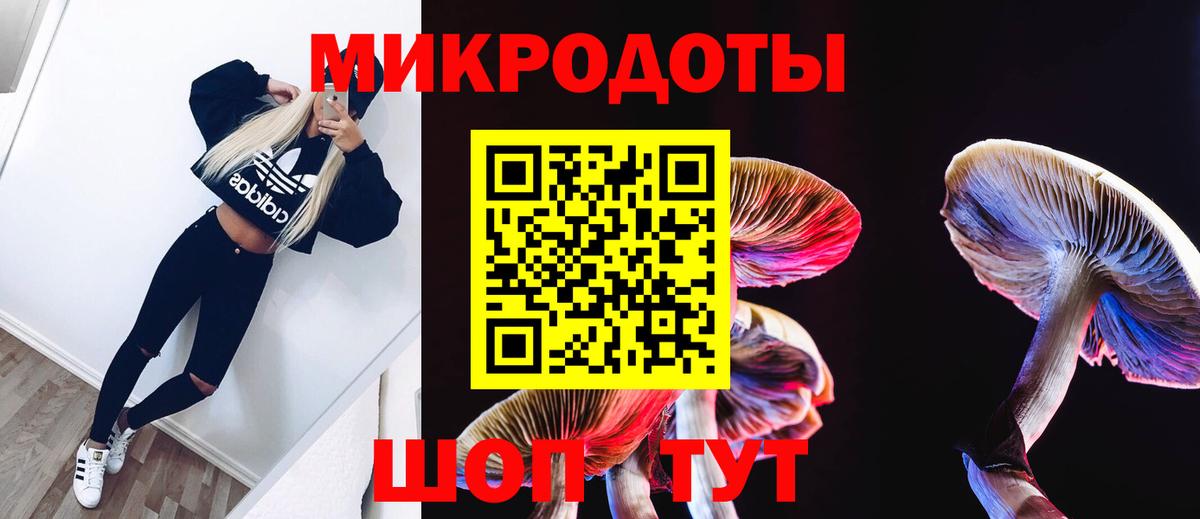 Псилоцибиновые грибы прущие грибы  Вход с VPN  Россошь  Галлюциногенные грибы мицелий 